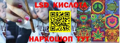 МДПВ Новокубанск