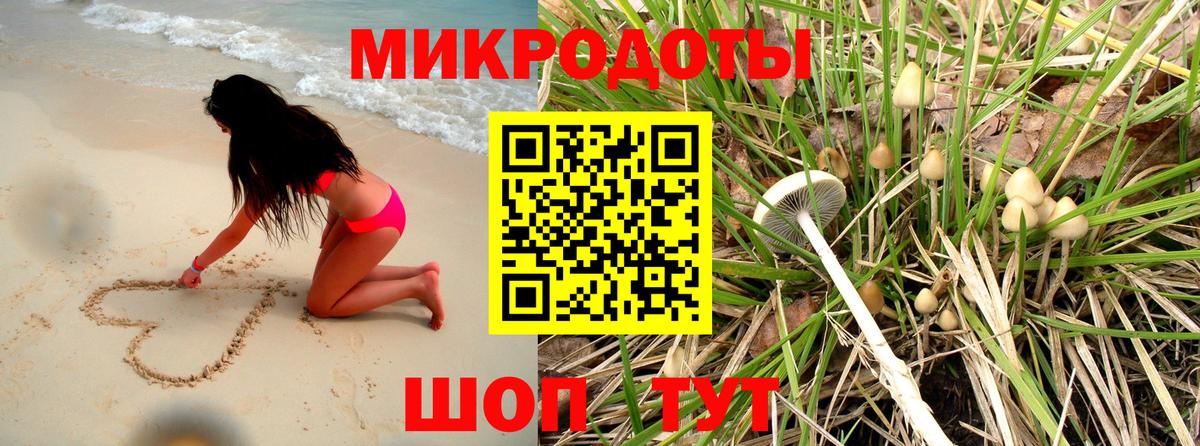 Фролово  Псилоцибиновые грибы прущие грибы  Вход с VPN 
