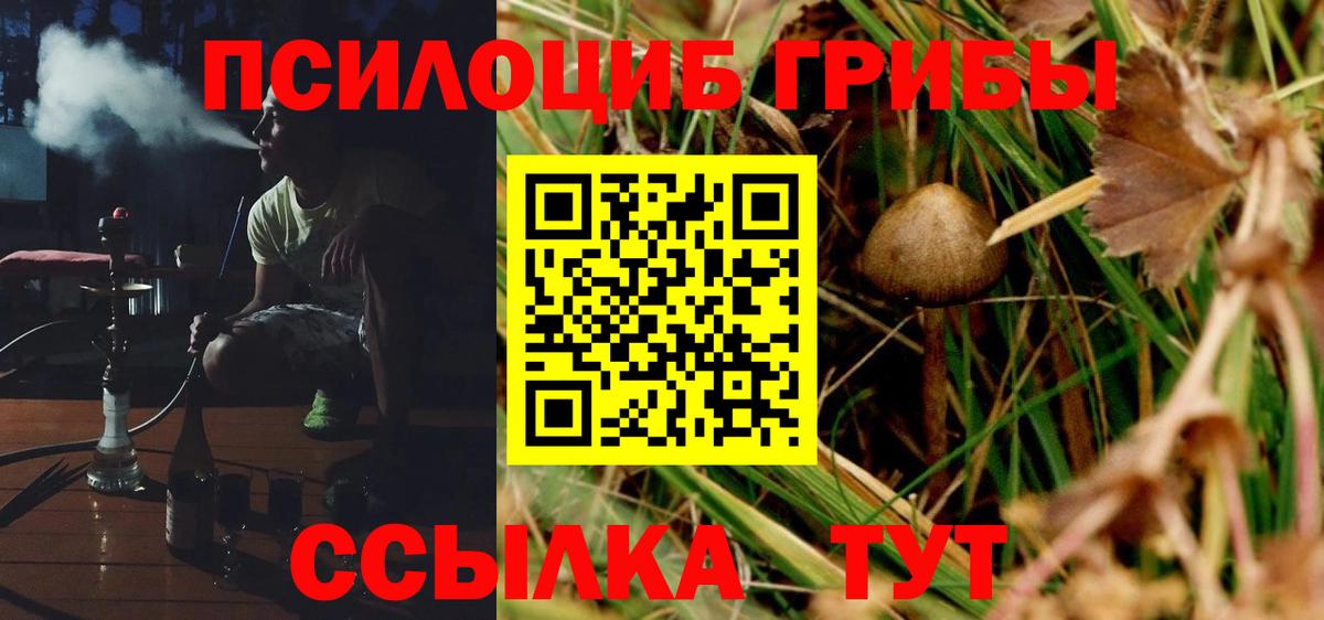 Галлюциногенные грибы GOLDEN TEACHER Фролово